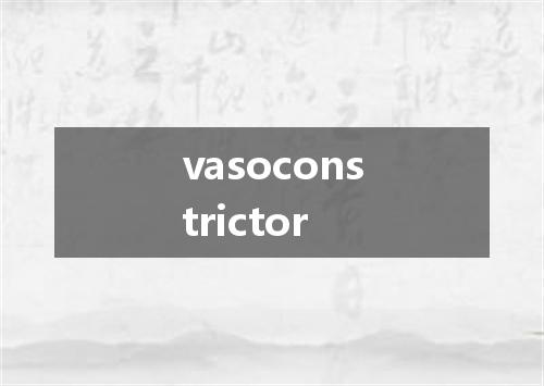 vasoconstrictor是什么意思