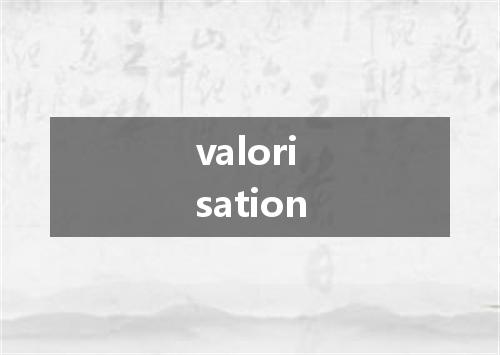 valorisation是什么意思