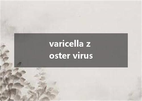 varicella zoster virus是什么意思