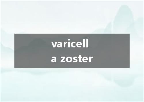 varicella zoster是什么意思
