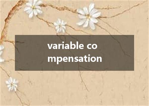 variable compensation是什么意思