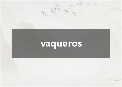 vaqueros是什么意思