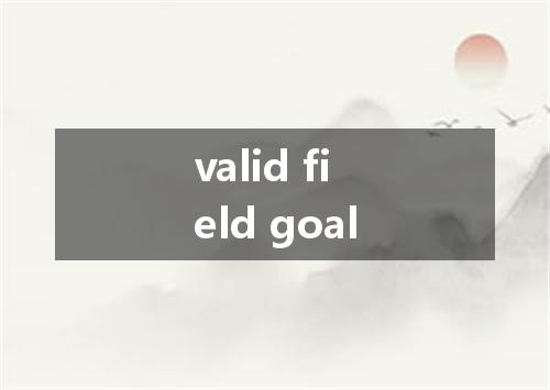 valid field goal是什么意思