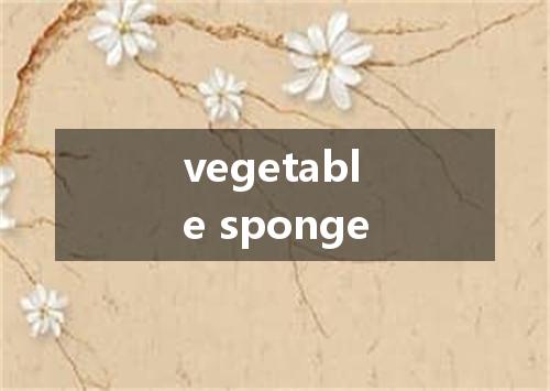 vegetable sponge是什么意思