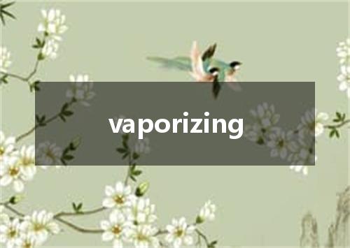 vaporizing是什么意思