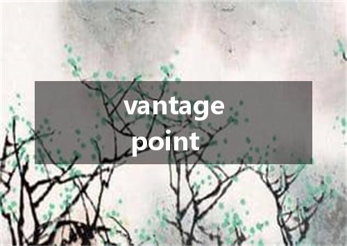 vantage point是什么意思