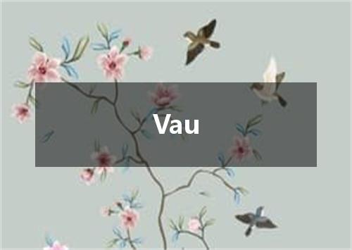 Vau是什么意思