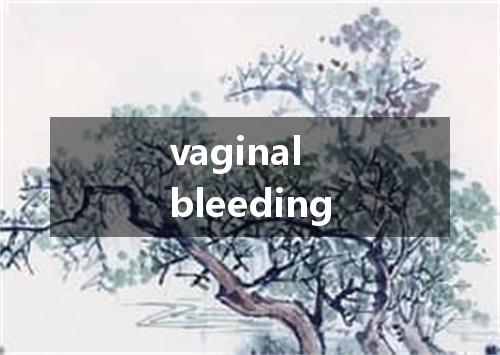vaginal bleeding是什么意思