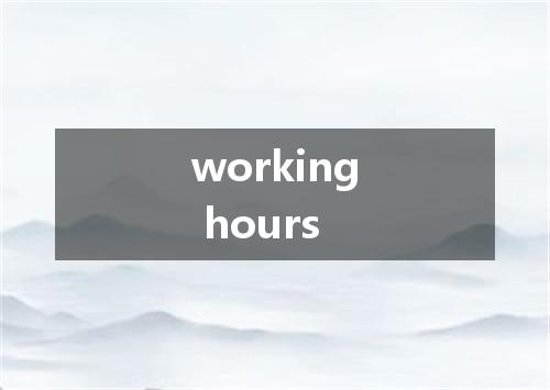 working hours是什么意思