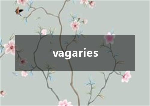 vagaries是什么意思