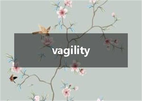 vagility是什么意思