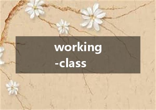 working-class是什么意思