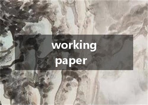 working paper是什么意思