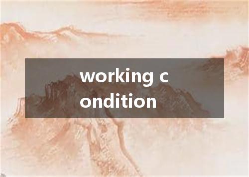 working condition是什么意思