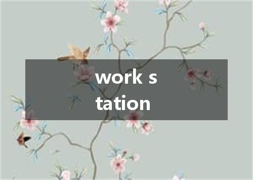 work station是什么意思
