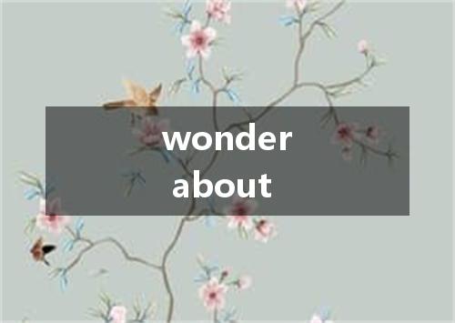 wonder about是什么意思