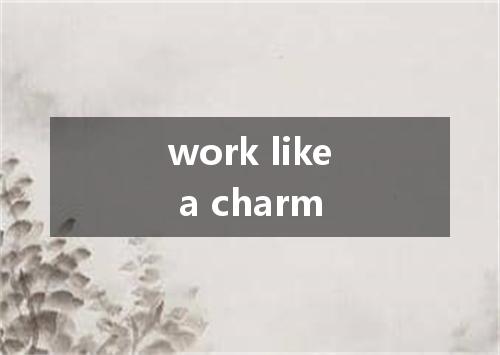 work like a charm是什么意思
