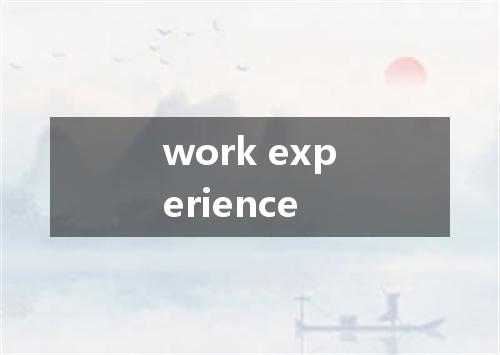 work experience是什么意思