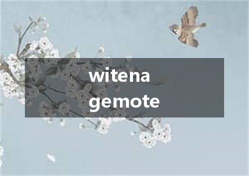 witenagemote是什么意思