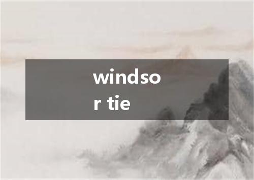 windsor tie是什么意思
