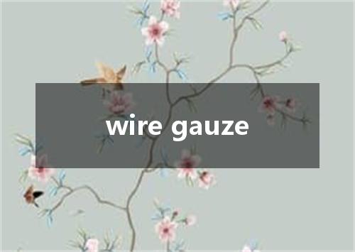 wire gauze是什么意思