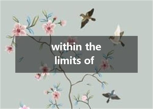 within the limits of是什么意思