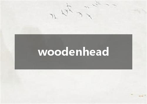 woodenhead是什么意思