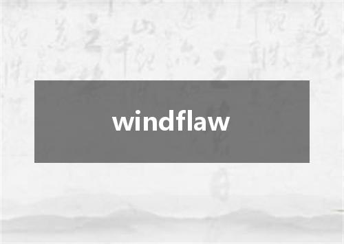 windflaw是什么意思