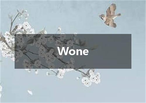 Wone是什么意思