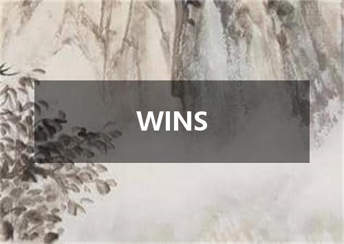WINS是什么意思