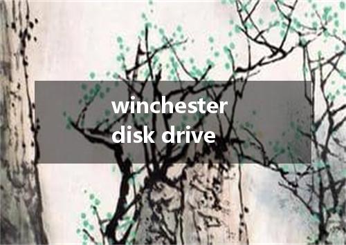 winchester disk drive是什么意思