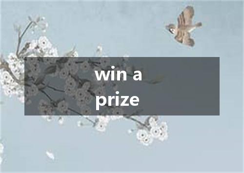 win a prize是什么意思