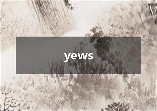 yews是什么意思
