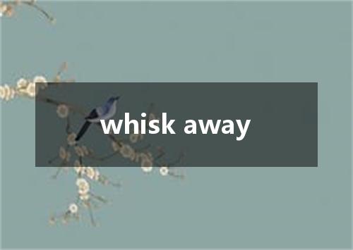 whisk away是什么意思