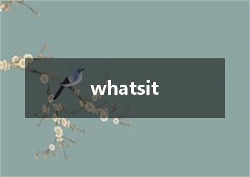 whatsit是什么意思