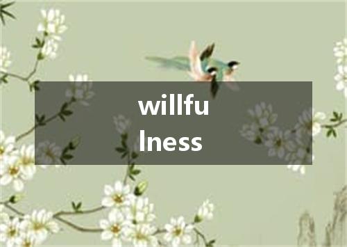 willfulness是什么意思
