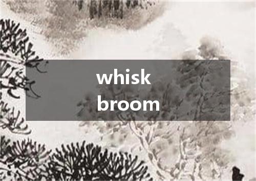 whisk broom是什么意思