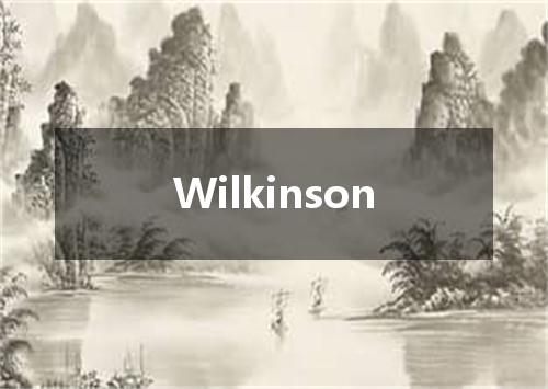 Wilkinson是什么意思