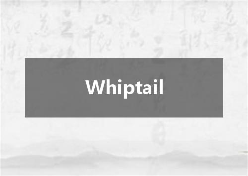 Whiptail是什么意思