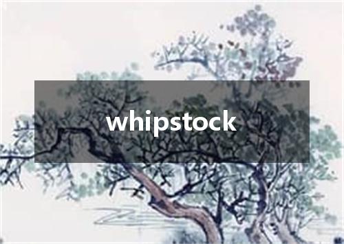 whipstock是什么意思