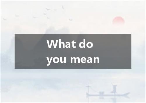 What do you mean是什么意思