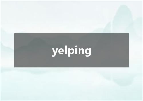 yelping是什么意思