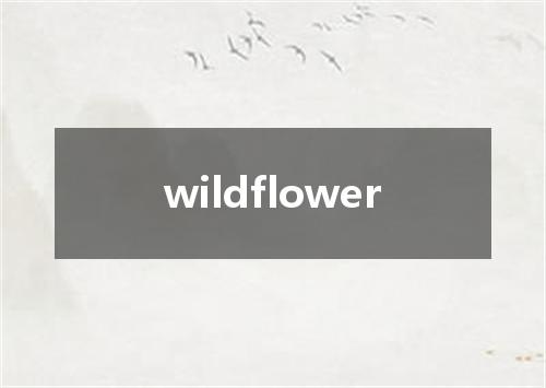 wildflower是什么意思