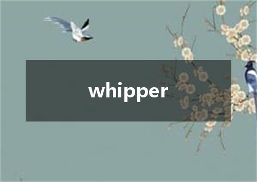 whipper是什么意思