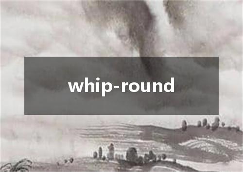 whip-round是什么意思