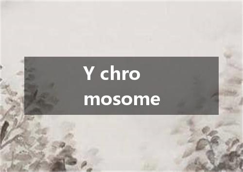 Y chromosome是什么意思