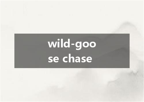wild-goose chase是什么意思