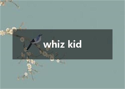 whiz kid是什么意思