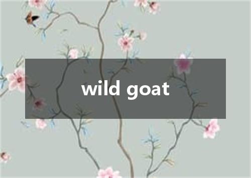 wild goat是什么意思