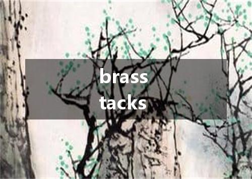 brass tacks是什么意思